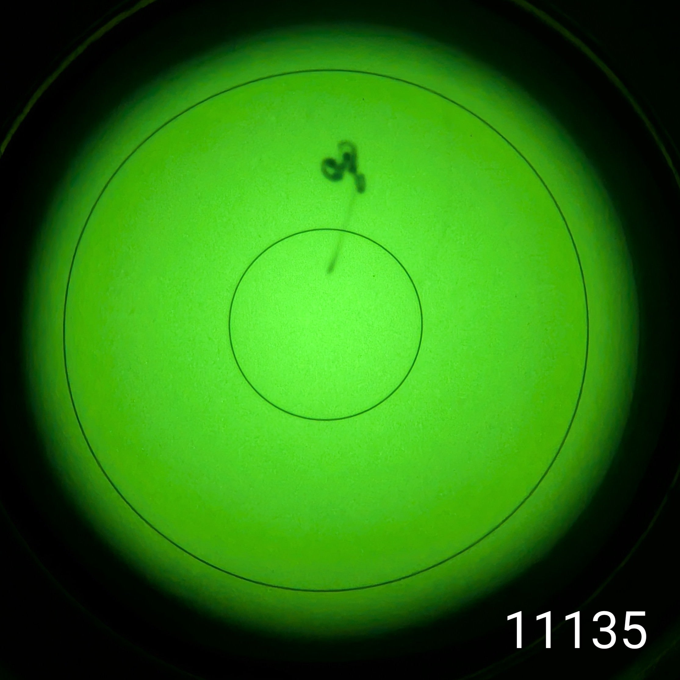 EON PVS-14 - Photonis XR5 Green Phosphor (Refurbished)